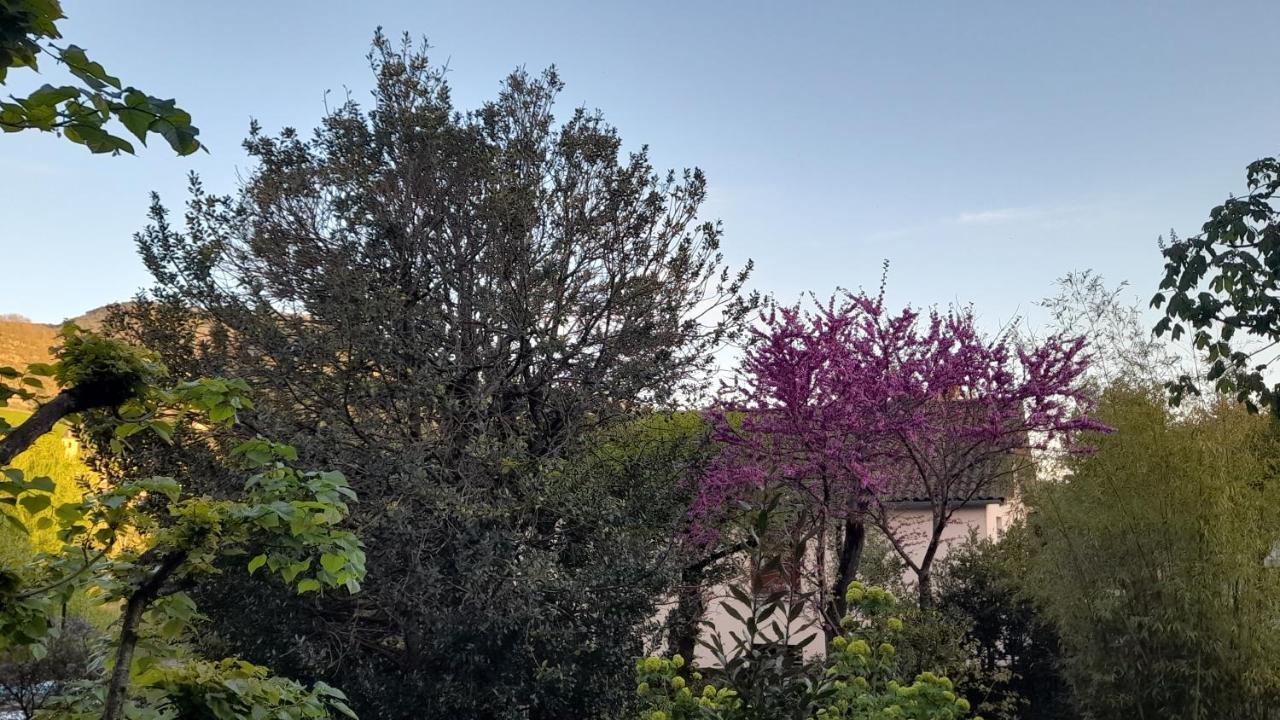 Le Gite Du Tarn Aguessac Luaran gambar